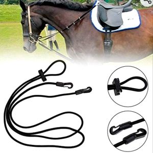 Horse lunging aid
